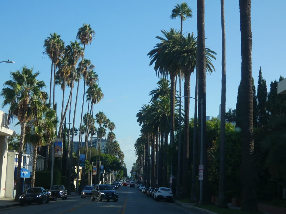 A sunny Los Angeles street