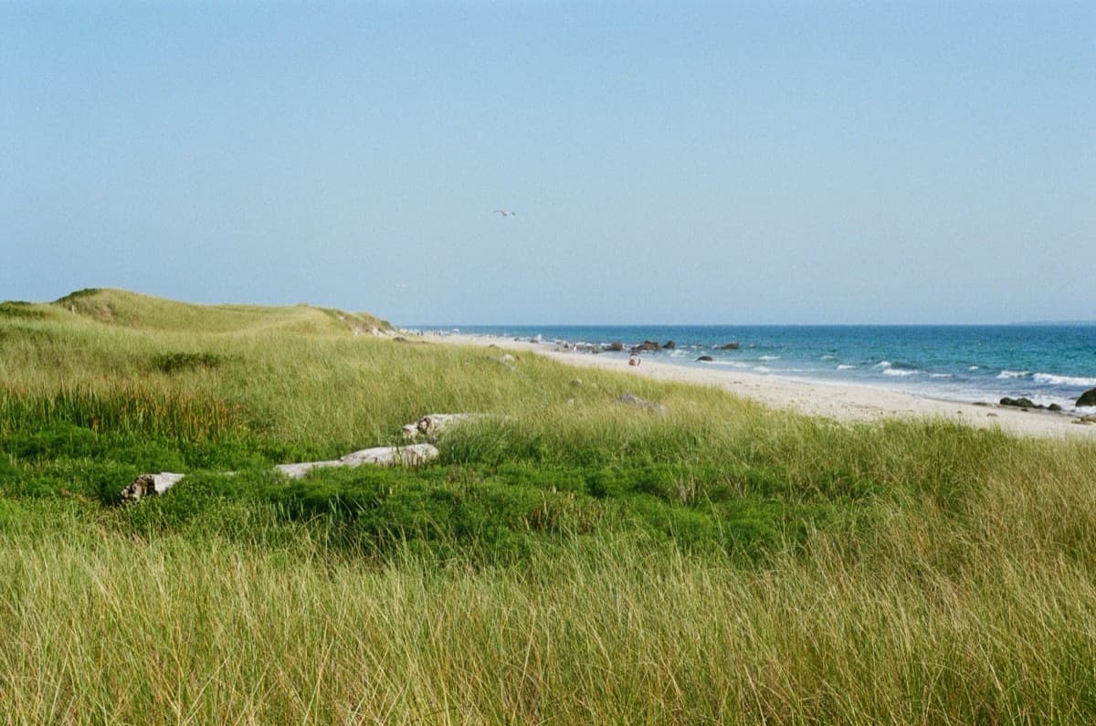 A New England beach with dune grass and the ocean
