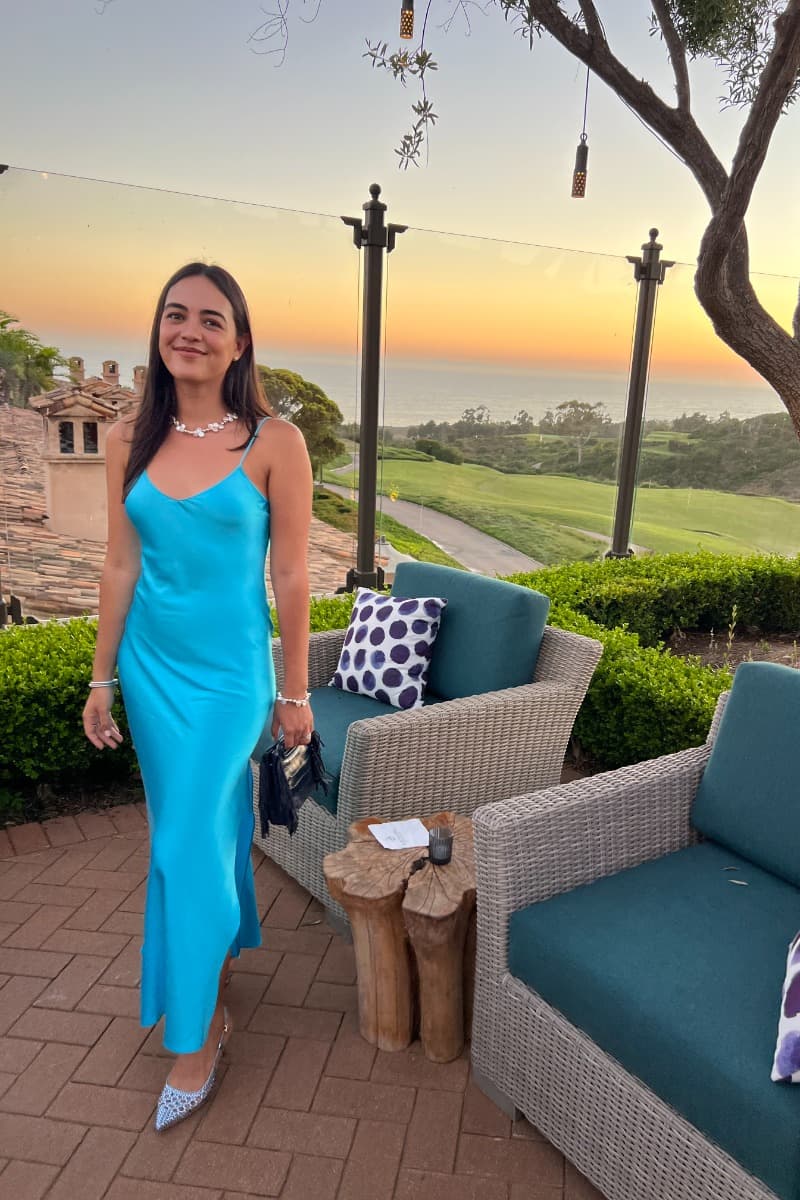 Dannijo Blue Midi Slip Dress